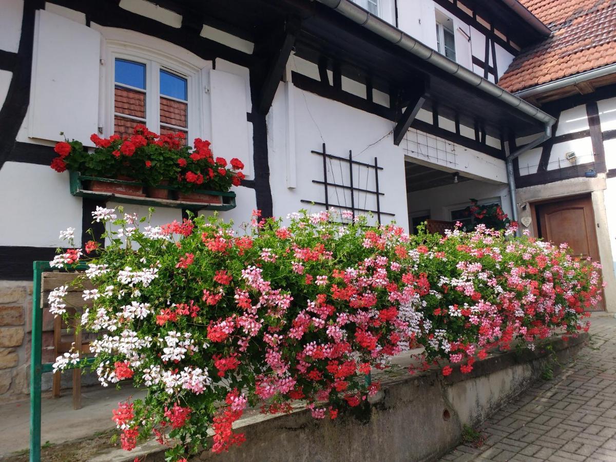 Gite Rue De L'Ange Hunspach Luaran gambar