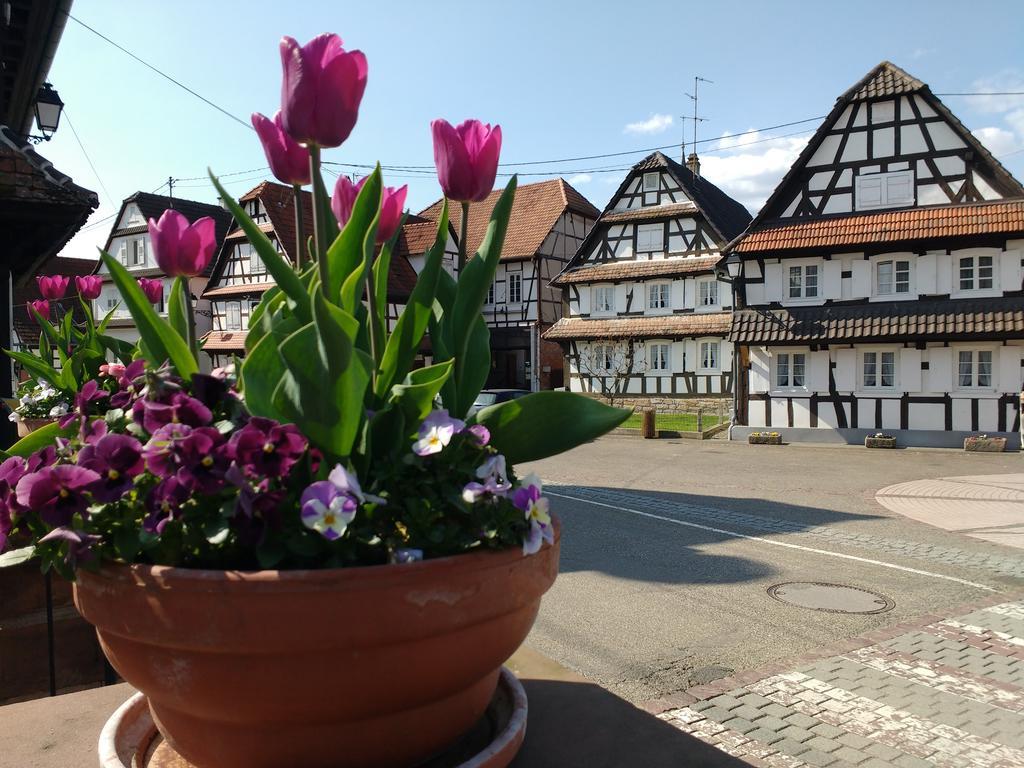 Gite Rue De L'Ange Hunspach Luaran gambar